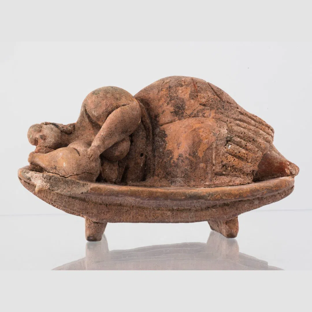 National Museum of Archaeology, Auberge de Provence, Valletta