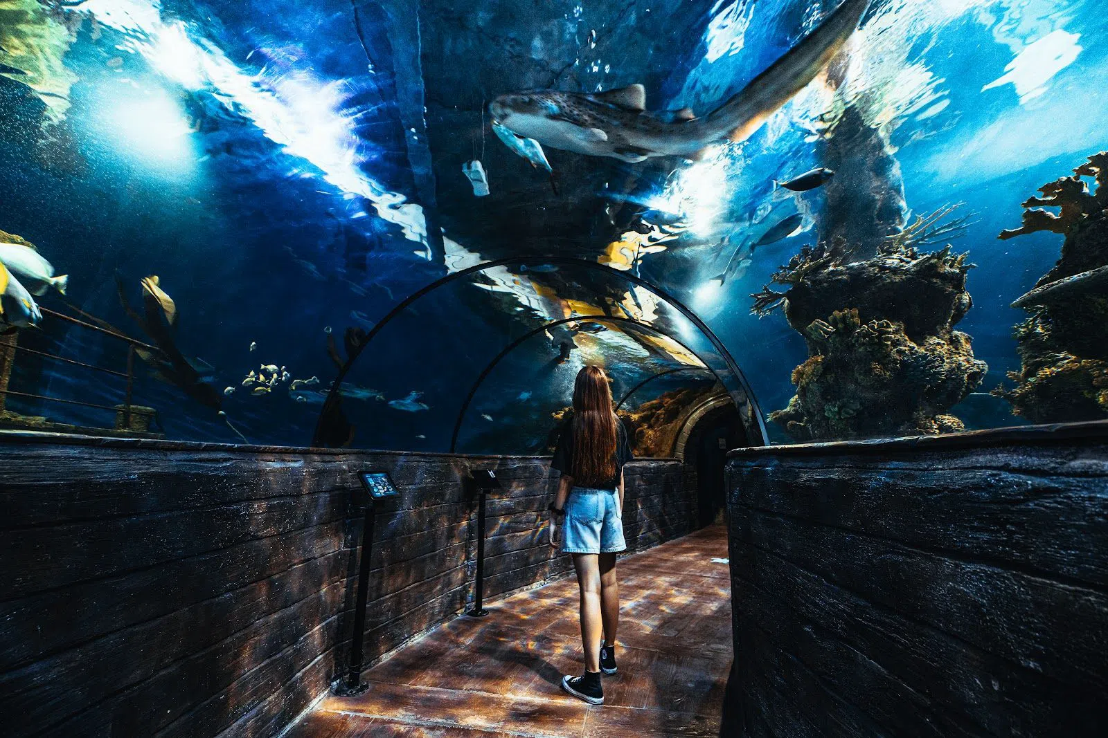 Malta National Aquarium, Valletta